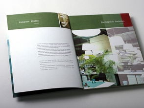 廣州專業(yè)畫冊設(shè)計(jì)與軟件開發(fā) 品牌建設(shè)的雙翼